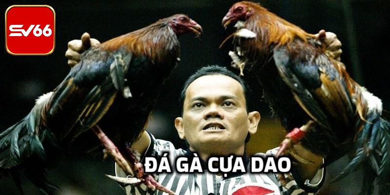 Đá Gà Cựa Dao Bộ Môn Giải Trí Đổi Thưởng Kịch Tính