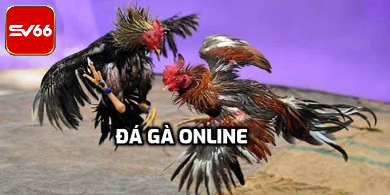 Đá Gà Online – Địa Điểm Giải Trí Lý Tưởng Cho Người Đam Mê