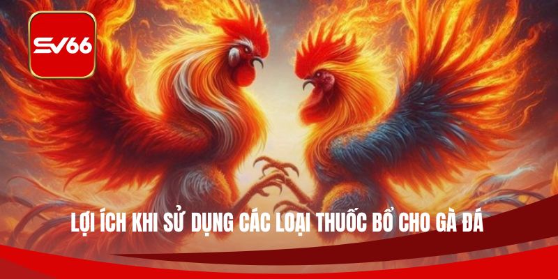 Lợi ích khi sử dụng các loại thuốc bổ cho gà đá
