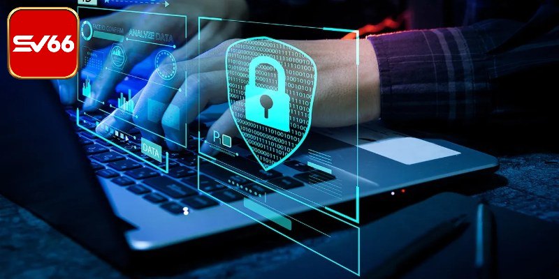 Những chú ý về cung cấp thông tin