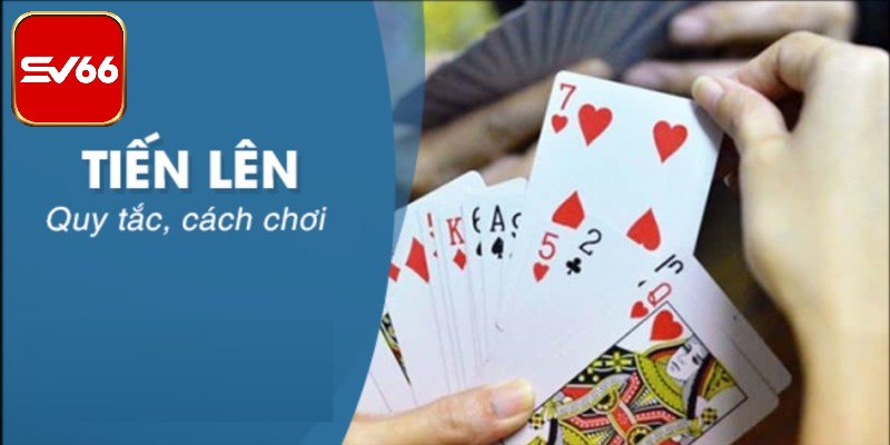 Sự yêu thích đến từ những điểm cực hấp dẫn
