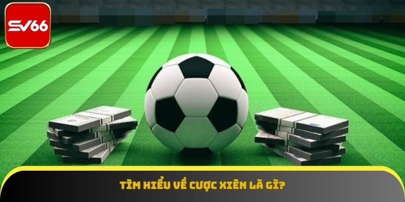 Tìm hiểu về hình thức cược liên hoàn tại SV66